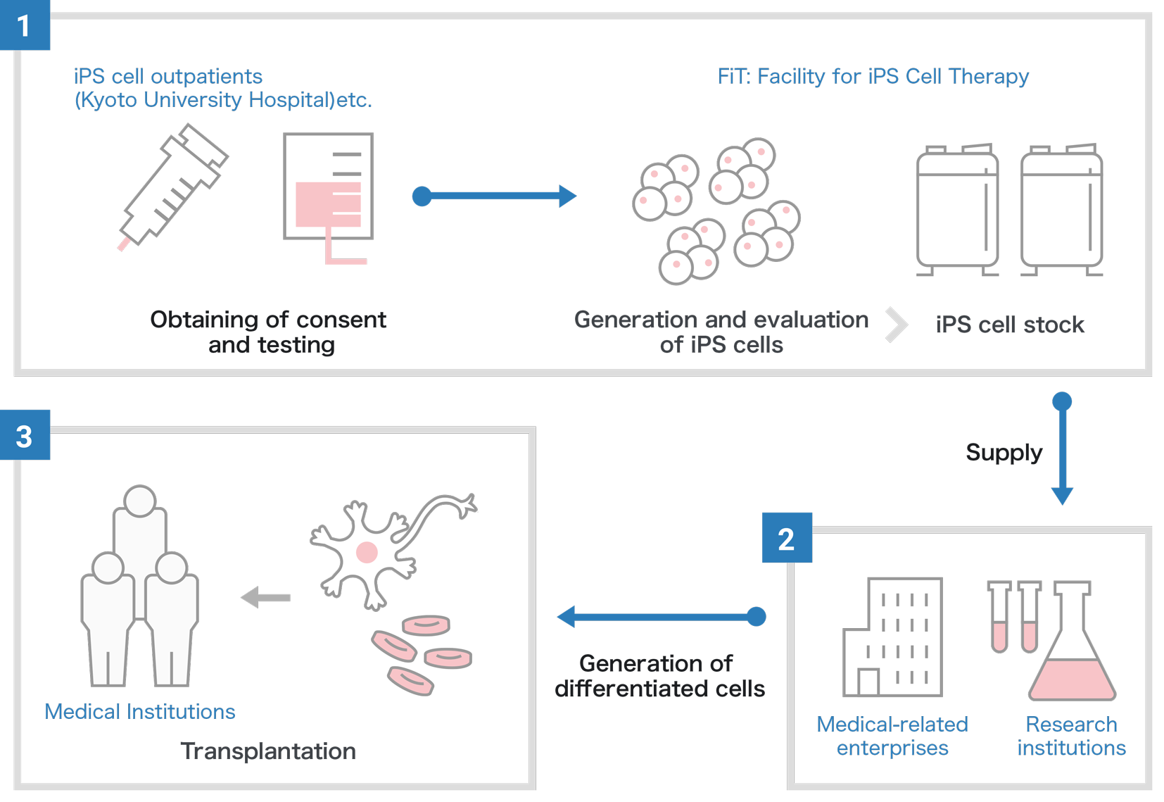 Overview of iPS Cell Stock Project
