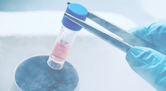 研究用細胞
