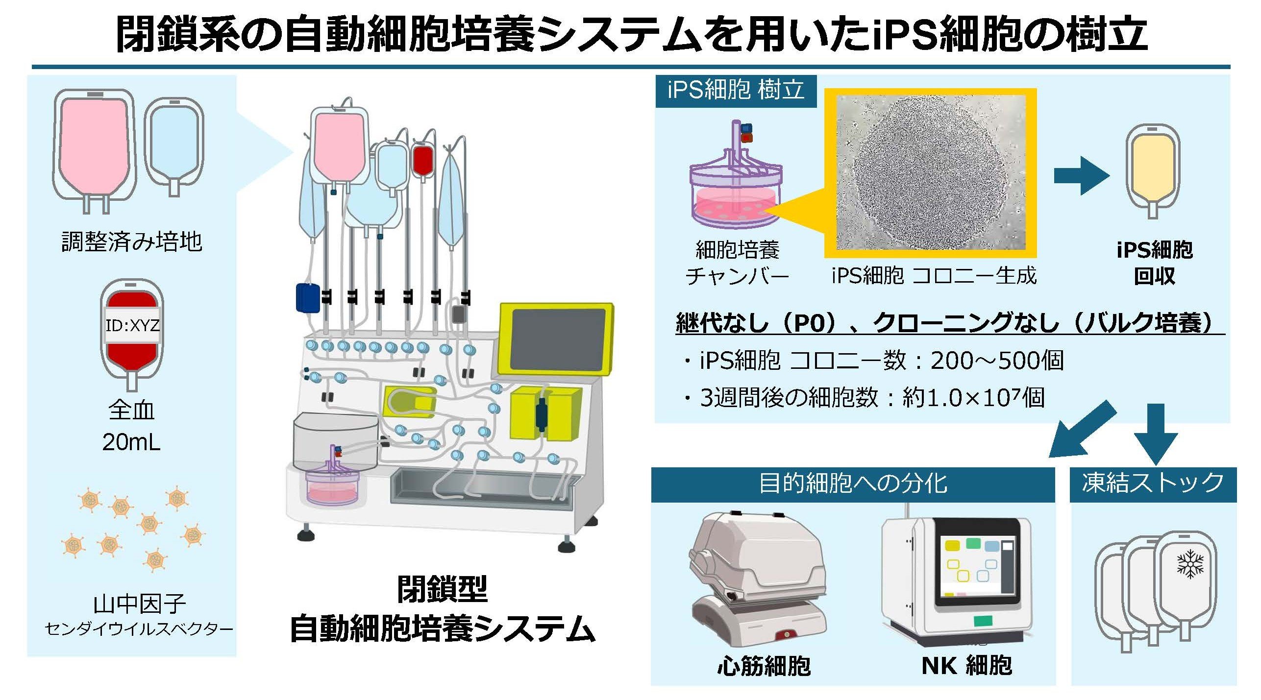 装置を用いたiPS細胞の自動製造イラスト