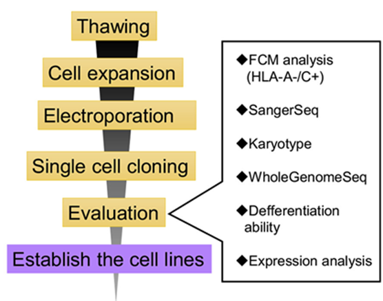 fig1