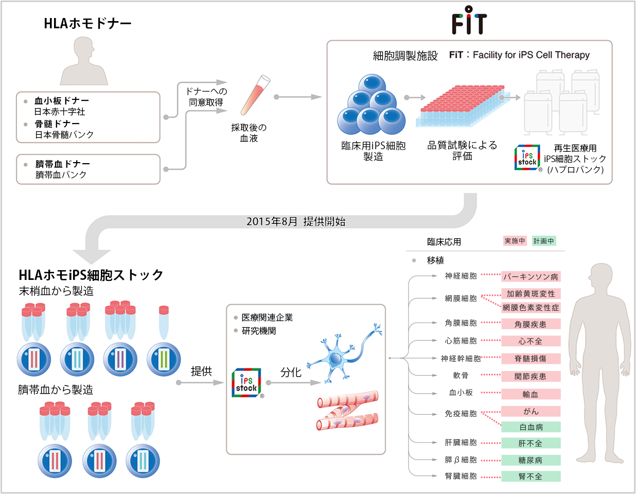 図1