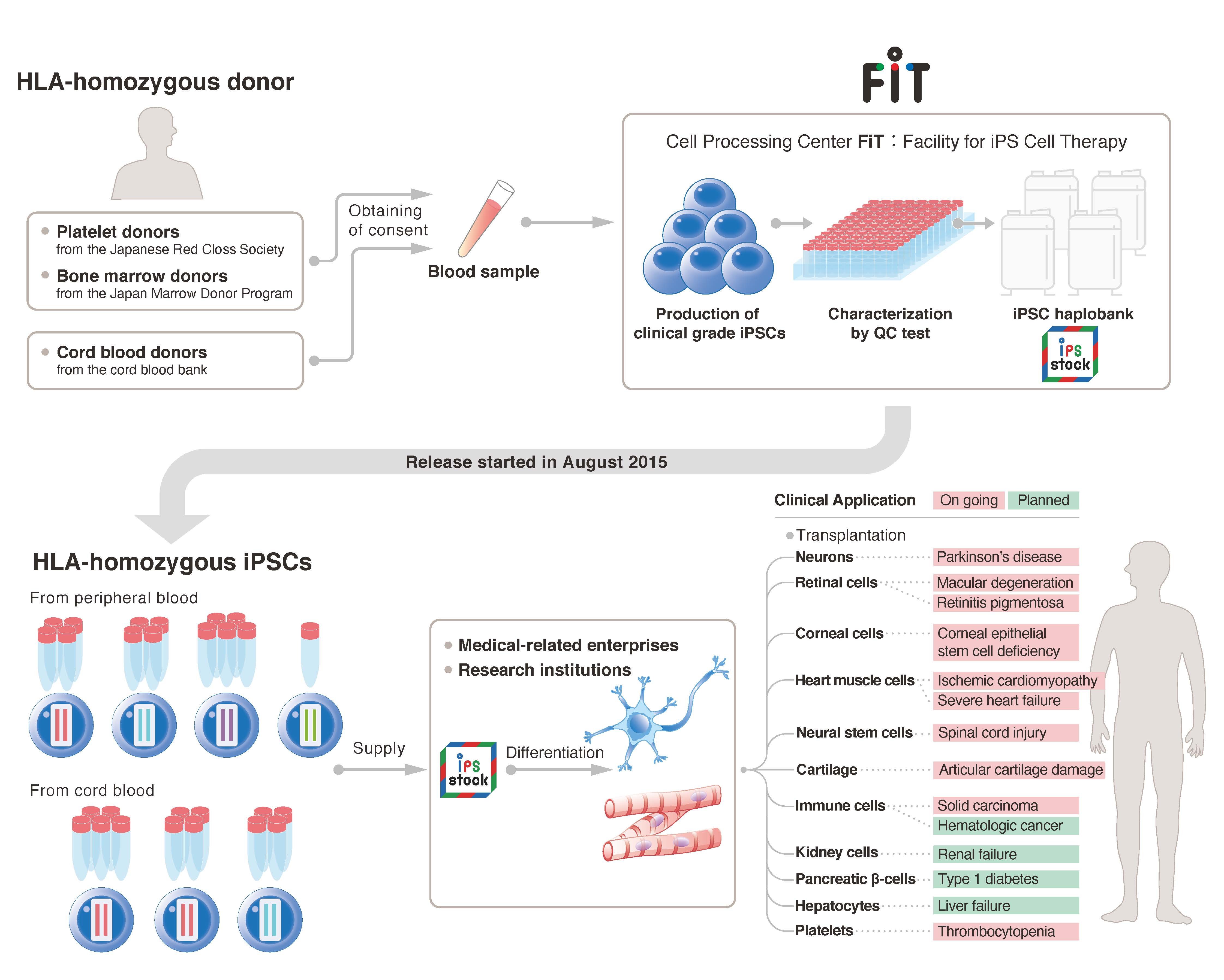 Fig1
