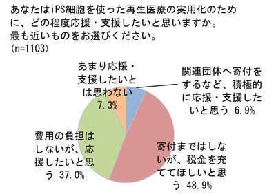 report_picture1.png