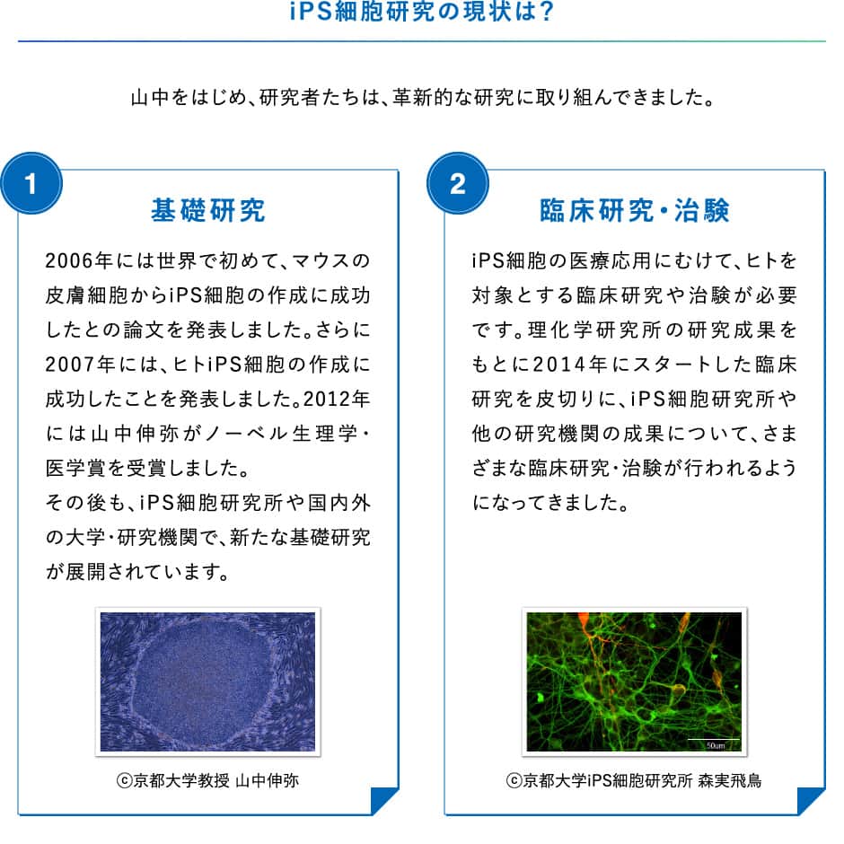 iPS細胞研究の現状は？&#13;&#10;&#13;&#10;山中をはじめ、研究者たちは、革新的な研究に取り組んできました。&#13;&#10;&#13;&#10;「基礎研究」&#13;&#10;2006年には世界で初めて、マウスの皮膚細胞からiPS細胞の作成に成功したとの論文を発表しました。さらに2007年には、ヒトiPS細胞の作成に成功したことを発表しました。2012年には山中伸弥がノーベル生理学・医学賞を受賞しました。その後も、iPS細胞研究所や国内外の大学・研究機関で、新たな基礎研究が展開されています。&#13;&#10;ⓒ京都大学教授山中伸弥&#13;&#10;&#13;&#10;「臨床研究・治験」&#13;&#10;iPS細胞の医療応用にむけて、ヒトを対象とする臨床研究や治験が必要です。理化学研究所の研究成果をもとに2014年にスタートした臨床研究を皮切りに、iPS細胞研究所や他の研究機関の成果について、さまざまな臨床研究・治験が行われるようになってきました。&#13;&#10;ⓒ京都大学iPS細胞研究所森実飛鳥