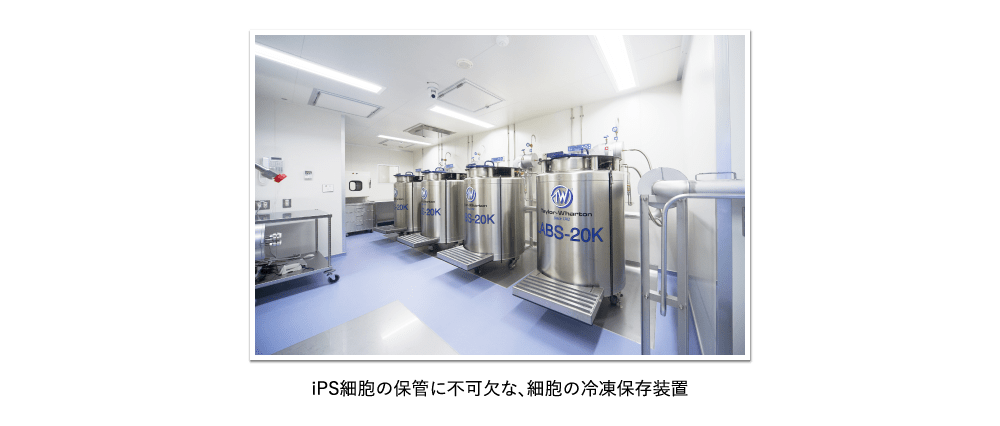 iPS細胞の保管に不可欠な、細胞の冷凍保存装置