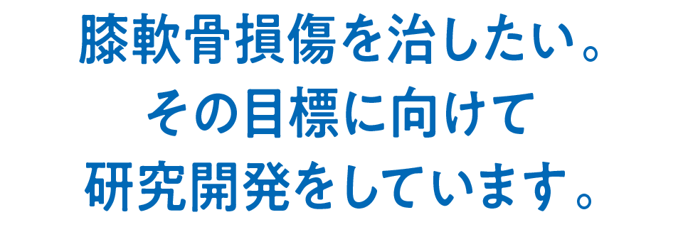 膝軟骨損傷を治したい。その目標に向けて研究開発をしています。