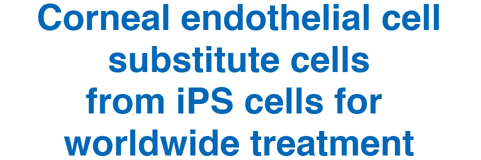 Corneal endothelial cell substitute cells from iPS cells for worldwide treatment
