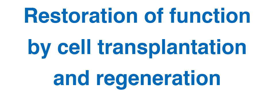 Restoration of function by cell transplantation and regeneration