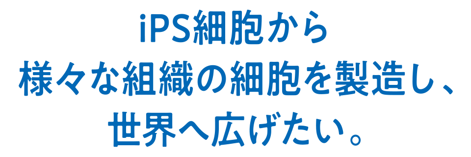 iPS細胞から様々な組織の細胞を製造し、世界へ広げたい。