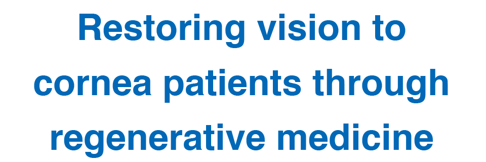 Restoring vision to cornea patients through regenerative medicine