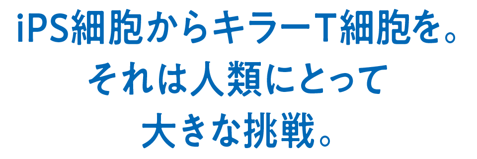 iPS細胞からキラーT細胞を。それは人類にとって大きな挑戦。