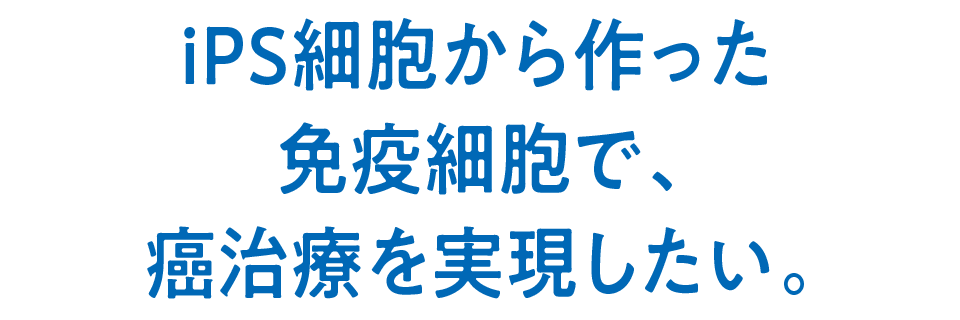 iPS細胞から作った免疫細胞で、癌治療を実現したい。