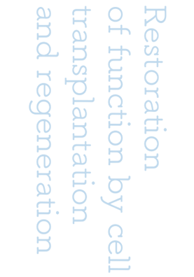 Restoration of function by cell transplantation and regeneration.