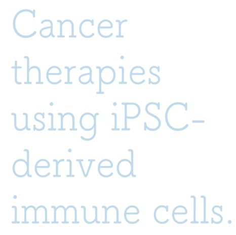 Cancer therapies using iPSC-derived immune cells.
