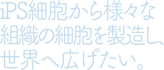 iPS細胞から様々な組織の細胞を製造し、世界へ広げたい。