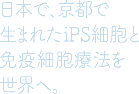 日本で、京都で生まれたiPS細胞と免疫細胞療法を世界へ。