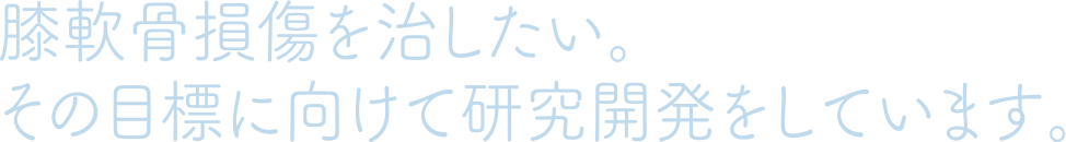 膝軟骨損傷を治したい。その目標に向けて研究開発をしています。