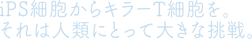 iPS細胞からキラーT細胞を。それは人類にとって大きな挑戦。